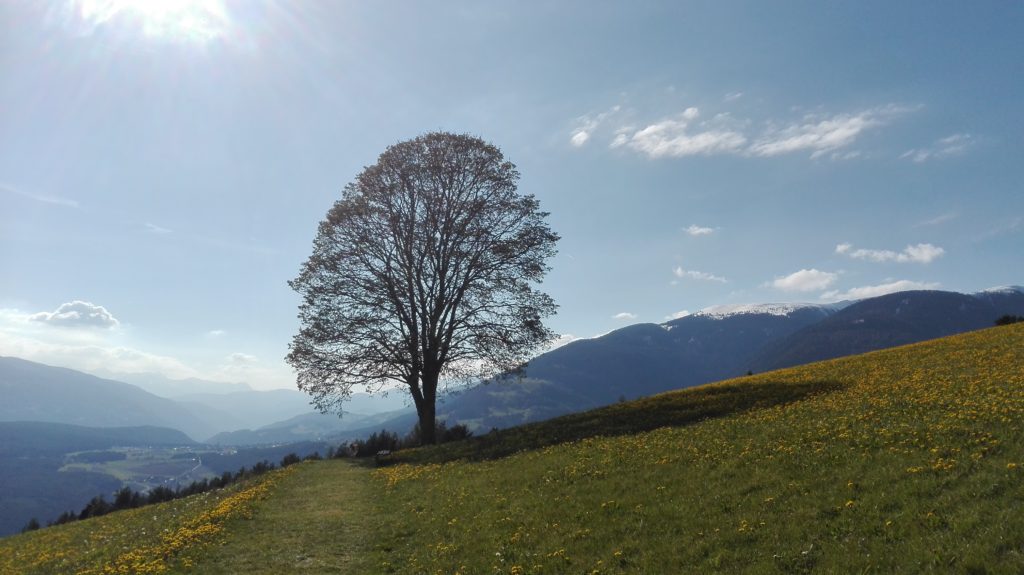 Viele Menschen sind zur Zeit ausgelaugt, ausgepowert und richtig müde. Müde von all dem Tun, müde vom Alltag, müde davon immer funktionieren zu müssen. Der eigene Energiehaushalt ist nicht mehr in Balance. Es wird viel zu viel gegeben und das Nehmen, das an sich selbst denken ist zu kurz gekommen.
