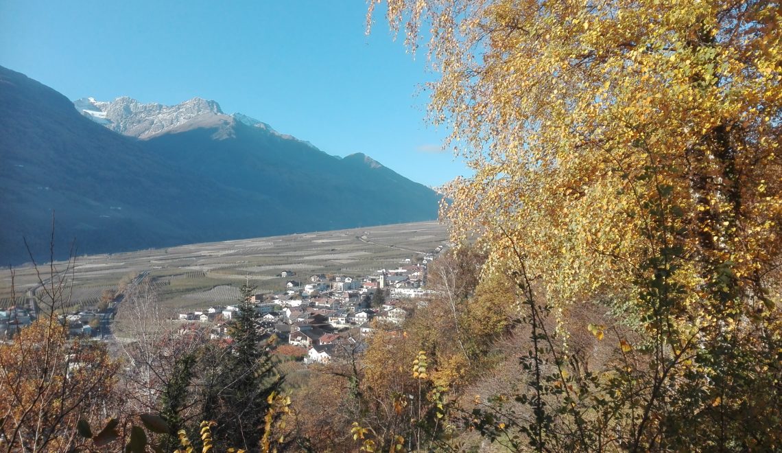 panorama
