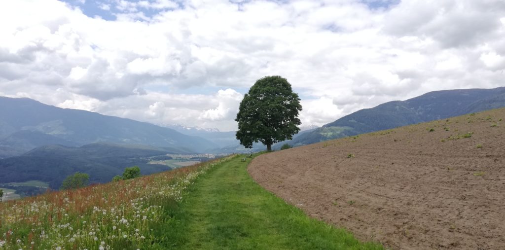 Möchtest du in deinem Leben etwas verändern? Aber es hält dich etwas zurück, wenn es darum geht, den ersten Schritt zu machen? Du kommst einfach nicht weiter? Veränderungen und Weiterentwicklung gehören zum Leben, aber nicht immer ist es leicht diese auch umzusetzen. Ich erzähle dir, was dir helfen kann, über deinen Schatten zu springen und wie aus deinen Wünschen auch Realität werden kann.