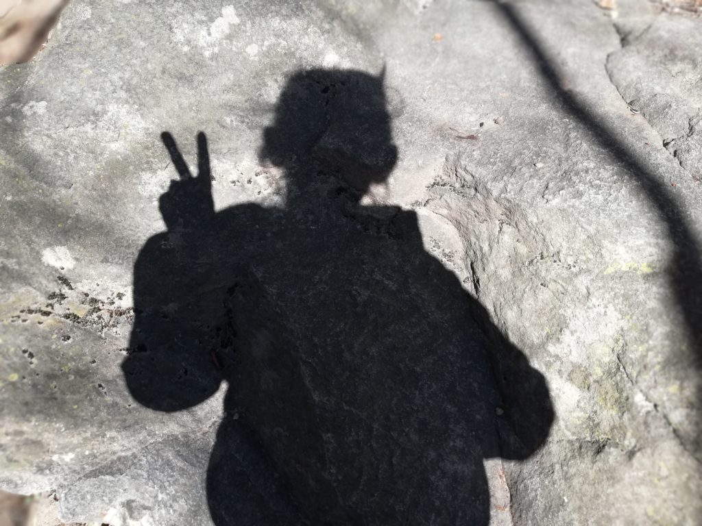 Vielleicht kennst du das auch manchmal? Du regst dich maßlos über jemanden auf und fragst dich: wie kann man nur!? Genau in solchen Situationen bist du deinen Schatten ganz nahe! Denn unsere Schattenaspekte werden uns meistens von Menschen gespiegelt, deren Verhalten wir ablehnen oder verurteilen.