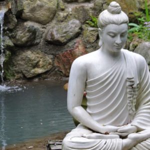 Live Webinar - VON DER ANGST INS VERTRAUEN
