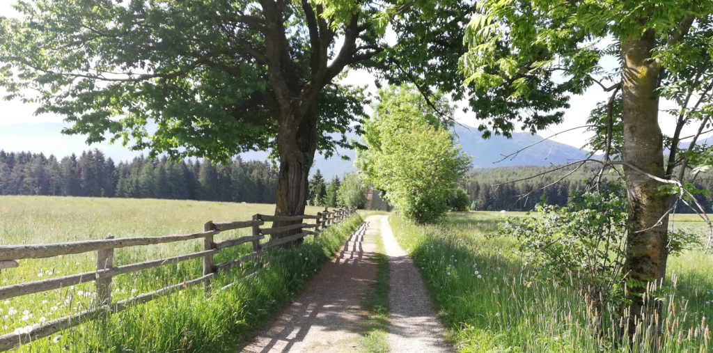 Besonders in dieser Krise sind deine Selbstkompetenz, Selbstfürsorge und Selbstliebe gefragt. Meine 10 Tipps helfen dir, diese zu aktivieren, dich zu stärken
und damit in deine Mitte zu kommen.