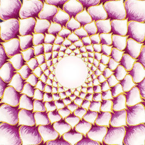 KRONENCHAKRA ABEND - Live Webinar