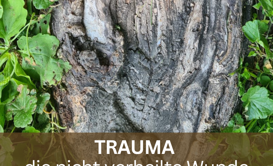 TRAUMA – die nicht verheilte Wunde