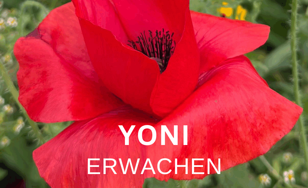 YONI ERWACHEN