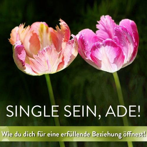 Single ade_ Quadratisch_Wie
