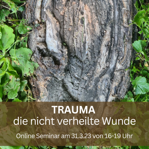 Traumaseminar